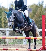 БЕЗОПАСНАЯ В КОНКУР/ХОББИ