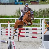 БУДЕННОВСКАЯ КОБЫЛА 7 ЛЕТ