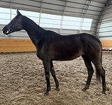 ВЫСОКАЯ РВП В МАТКИ