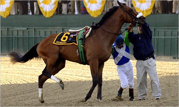 Ипподром Pimlico 2006 год, второй этап Тройной Короны - Preakness Stakes ,который стал последним забегом для жеребца.