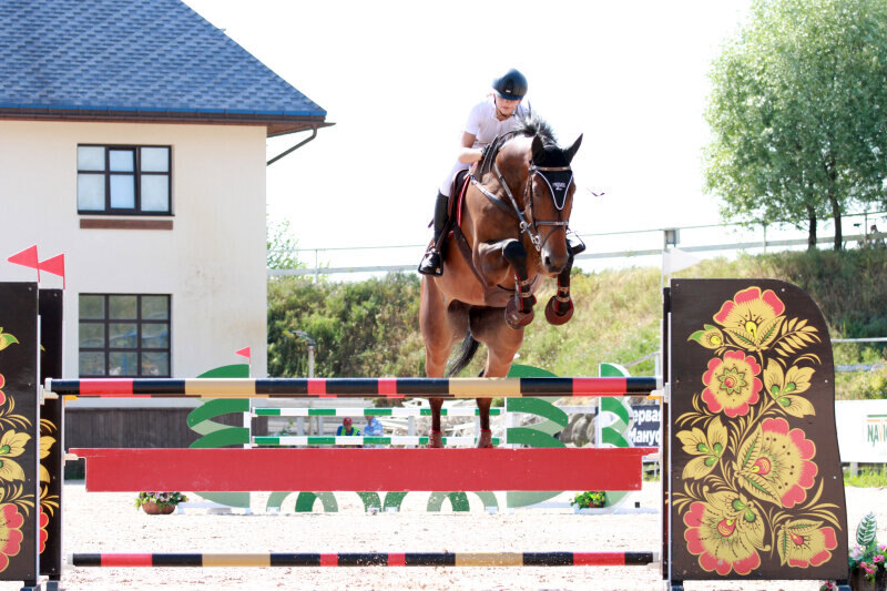 СКУЛАРИ Б-08 и Луцук Дарья