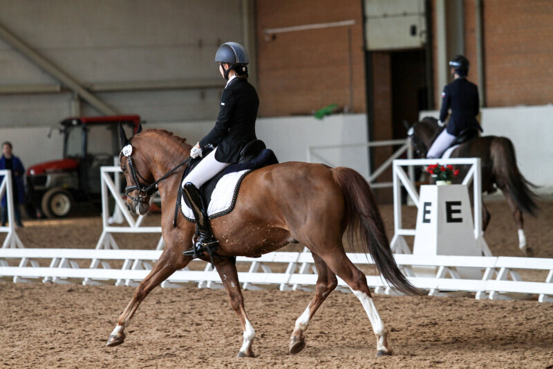 ДЖОНКЕРС ПИТЕР и Степанова Ангелина
