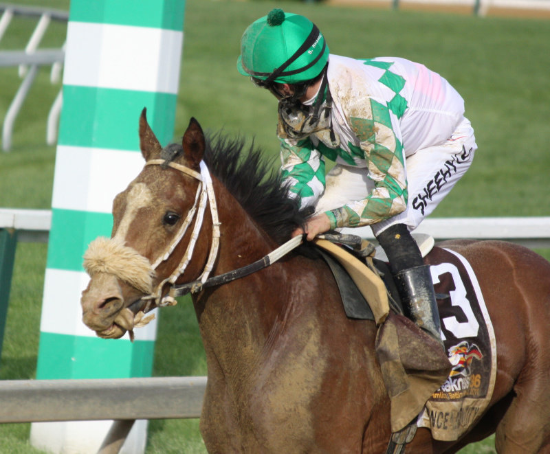 Ипподром Pimlico 2011 год, второй этап Тройной Короны - Preakness Stakes.