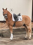 НЕВЕРОЯТНО КРАСИВЫЙ 