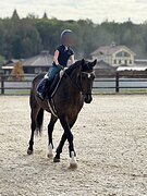 В детский спорт .