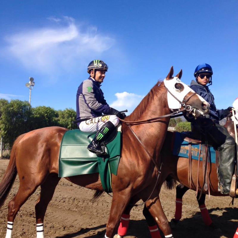 Ипподром Santa Anita Park. 