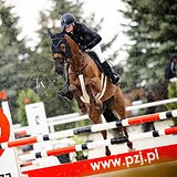 КОБЫЛА ЗАНГЕРШАЙДЕ 7 ЛЕТ