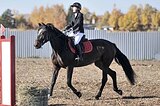ВЫСОКАЯ КОБЫЛА • МАРШРУТЫ 1