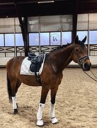 СП2 НА 67,5%, ГОТОВ НА БП