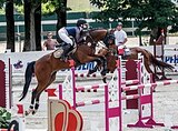 Вестфальский мерин