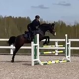 СТАРТОВЫЙ ОПЫТ ДО 110 СМ 