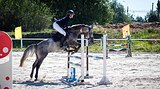 маршруты90-100см,шпринт130-140см