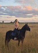 МЕРИН ПОД ЛЮБОГО 