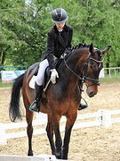 Работает в выездку