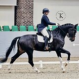 ВЕСТФАЛЬСКАЯ КОБЫЛА НА СП1