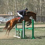 ВЫЕЗДКА И КОНКУР  