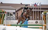 Карачаевский мерин