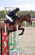 Кобыла в спорт