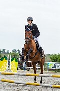 кобыла в конкур