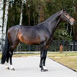 ПЕРСПЕКТИВЕН В СПОРТ 