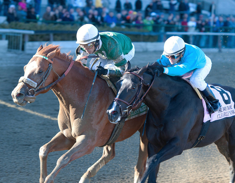 Ипподром Aqueduct, скачка Bay Shore Stakes (Gr. 3). 6 апреля 2013 года.