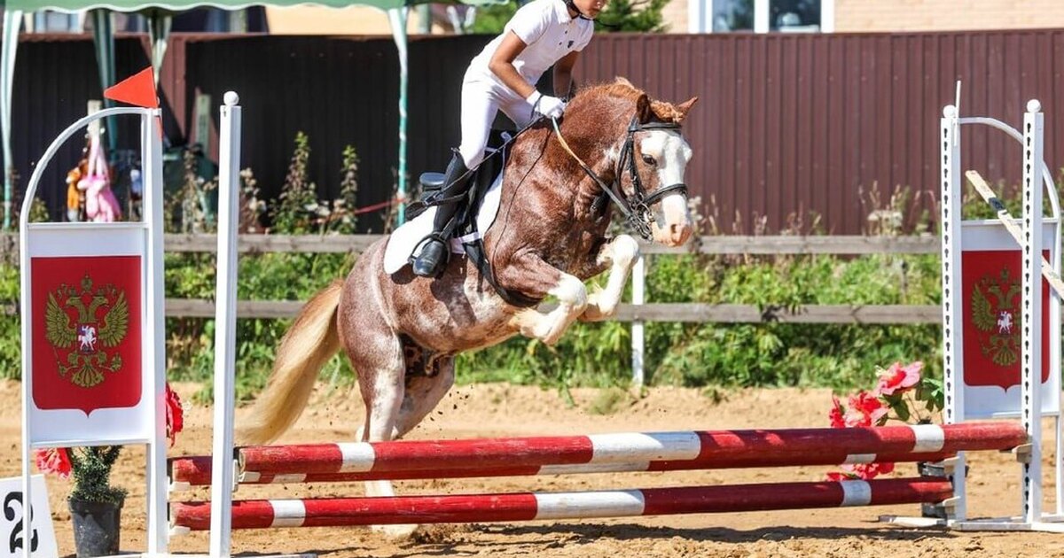 Детский конный спорт