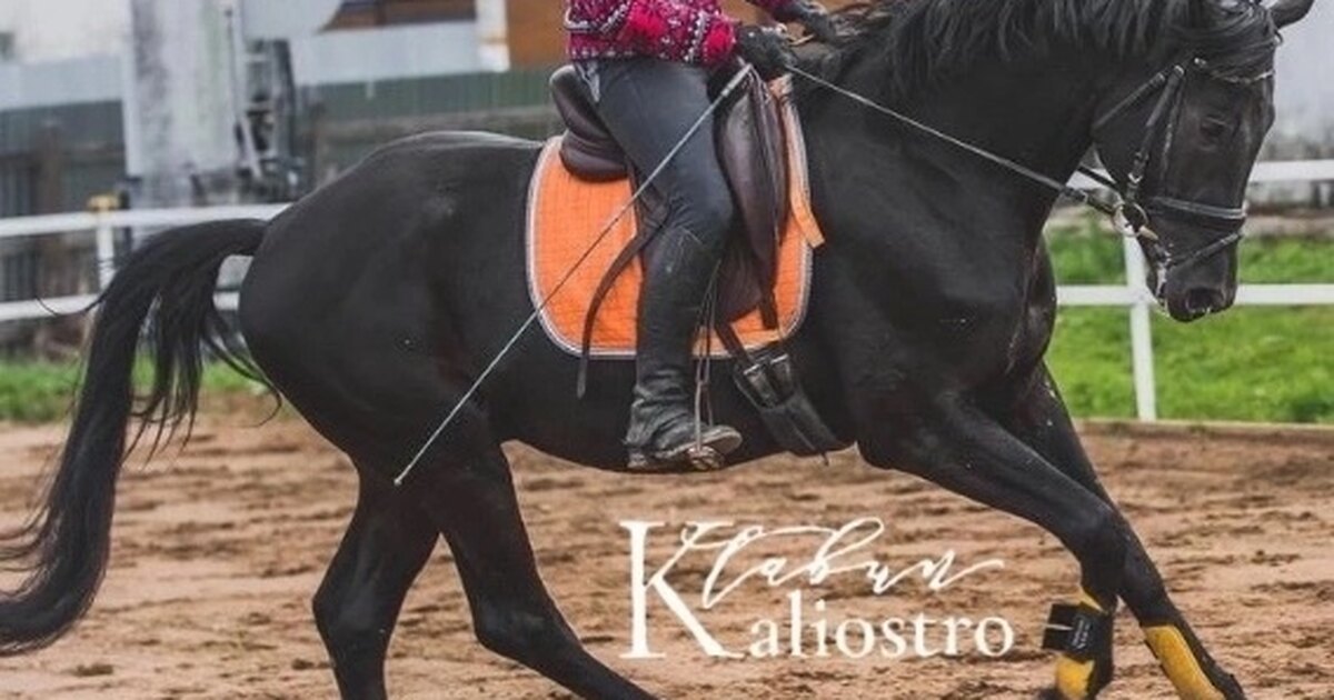 чиж и ко дополнительный 38-й. чиж и ко конь. чиж конь мой вороной. чиж комиссар. пуля просвистела аккорды текст.