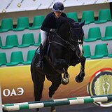 Жеребец КВПН