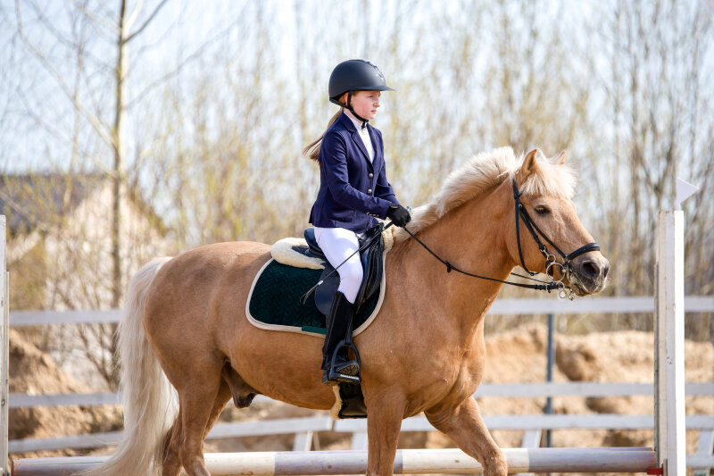 ГЕШЕФТ-12 и Шибанова Дарья