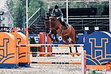 Мерин 2016