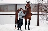 Кобыла 