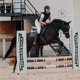 КОБЫЛА В КОНКУР И ВЫЕЗДКУ 