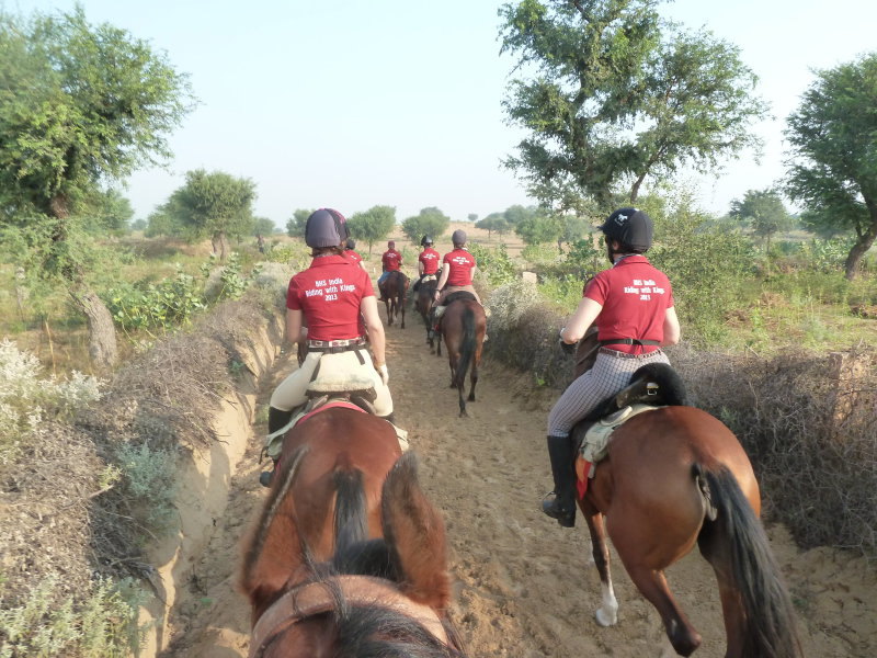 Riding with kings in Rajasthan (India)