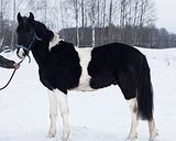 Нарядный хобби-класс