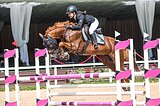Мерин 2015 гр, 170 вх