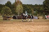 Забайкальская кобыла