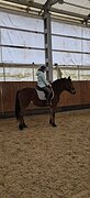 Кобыла для хобби 