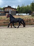 Временно подешевел