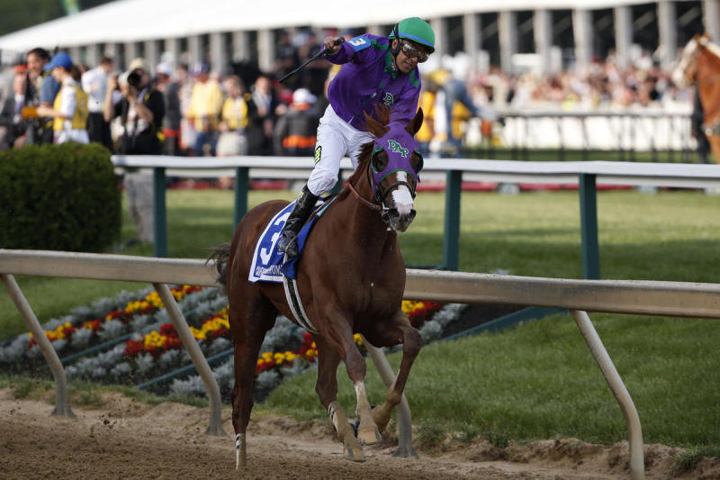 Ипподром Pimlico 2014 год. Второй этап Тройной Короны - Preakness Stakes. Балтимор.