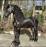 НЕВЕРОЯТНО КРАСИВЫЙ ФРИЗ