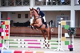 Жеребец 2014 гр, 171 вх