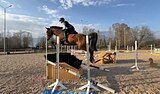Троеборье / конкур 