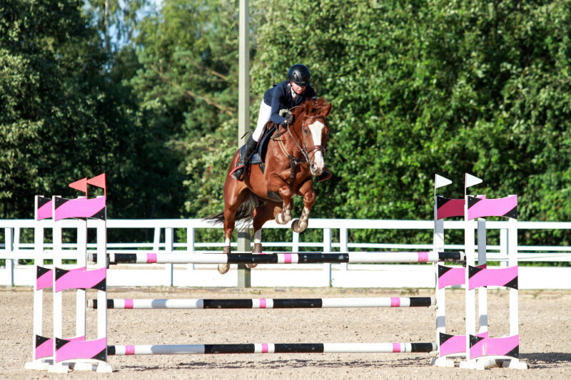 ГАРРИ ПОТЕР-17 и Юдина Лидия