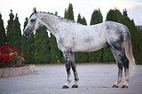 Жер. 2017 гр, связки до 150 см