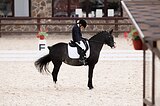 Индивидуальные занятия на спортивном пони