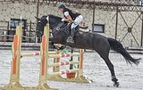 КОБЫЛА В ЛЮБИТЕЛЬСКИЙ СПОР