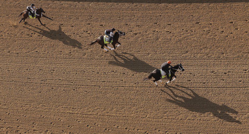 Ипподром Churchill Downs 2013 год, подготовка к первому этапу Тройной Короны - Kentucky Derby.