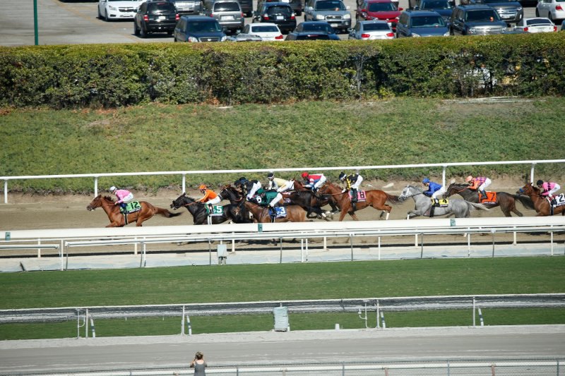 Ипподром Santa Anita Park 2013 год, скачка Breeder's Cup Filly and Mare Sprint (Gr. 1)? где кобыла Dance To Bristol финишировала шестой