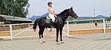 Император 