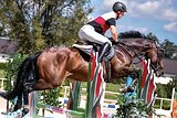 ЖЕРЕБЕЦ В КОНКУР МАРШРУТЫ 10